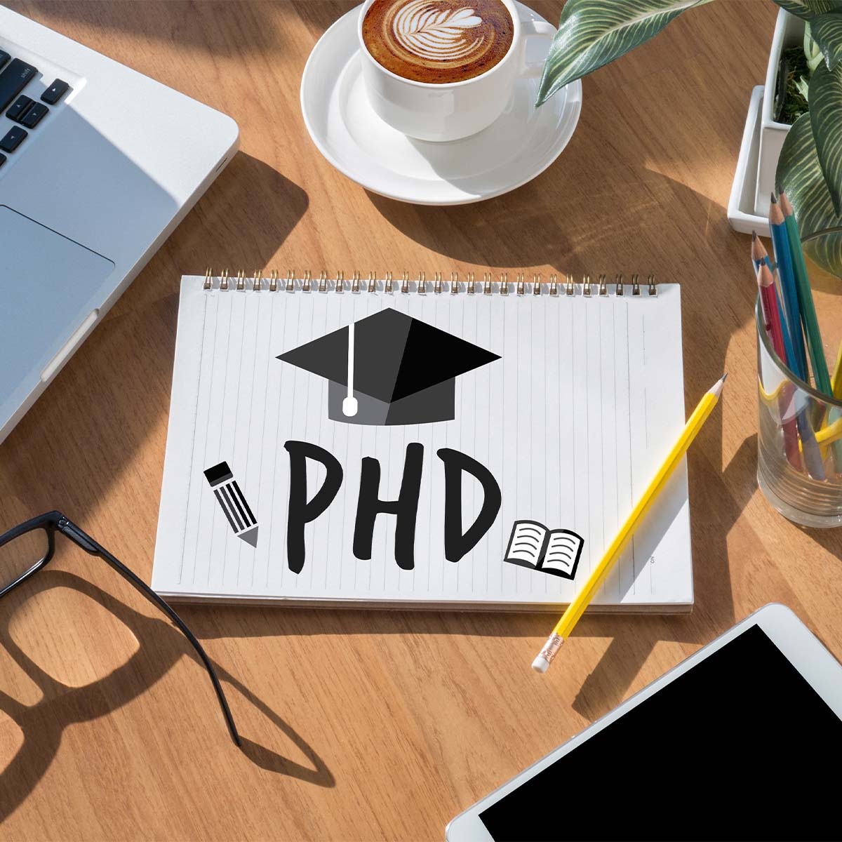 phd management in germany